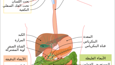 سرطان الجهاز الهضمي gastrointestinal cancer