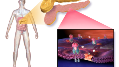 مرض السكري (diabetes)