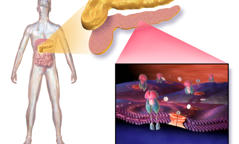 مرض السكري (diabetes)