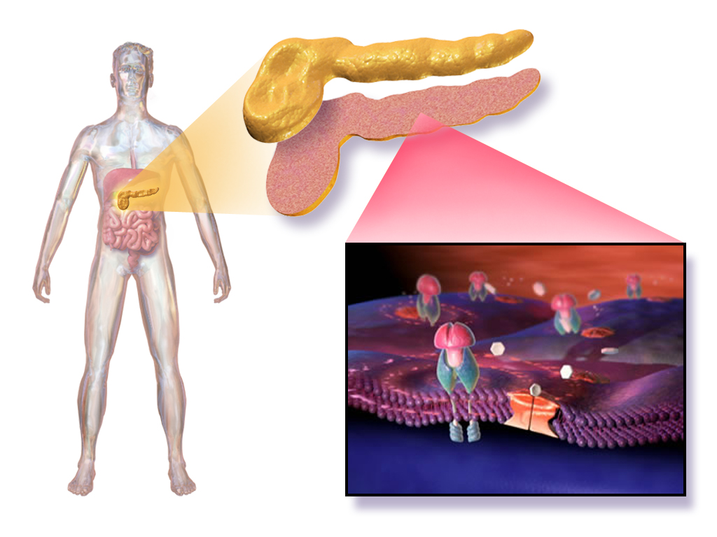 مرض السكري (diabetes)